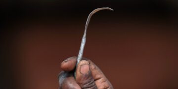 COVID-19 Pandemic Has Been a Boon for FGM in Rift Valley, Kenya